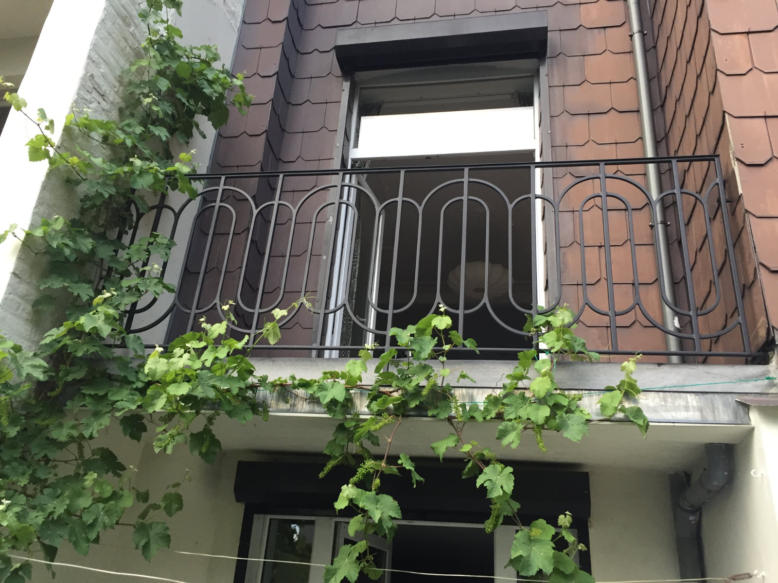 5baa6f4a-0737-4dcf-8eb3-16b86f74646d